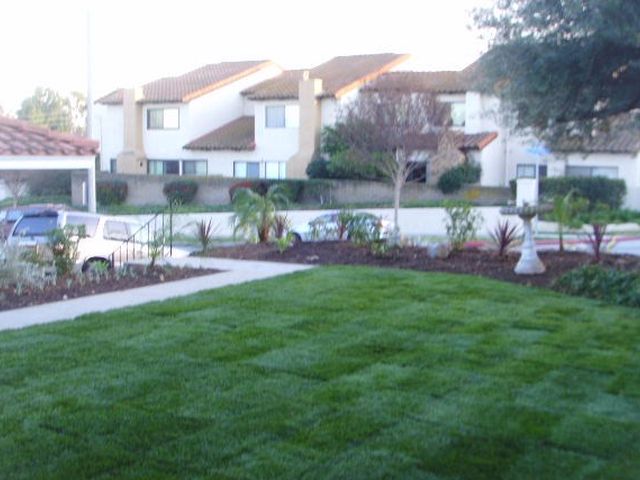 Front lawn