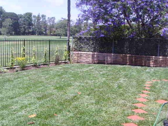 New lawn