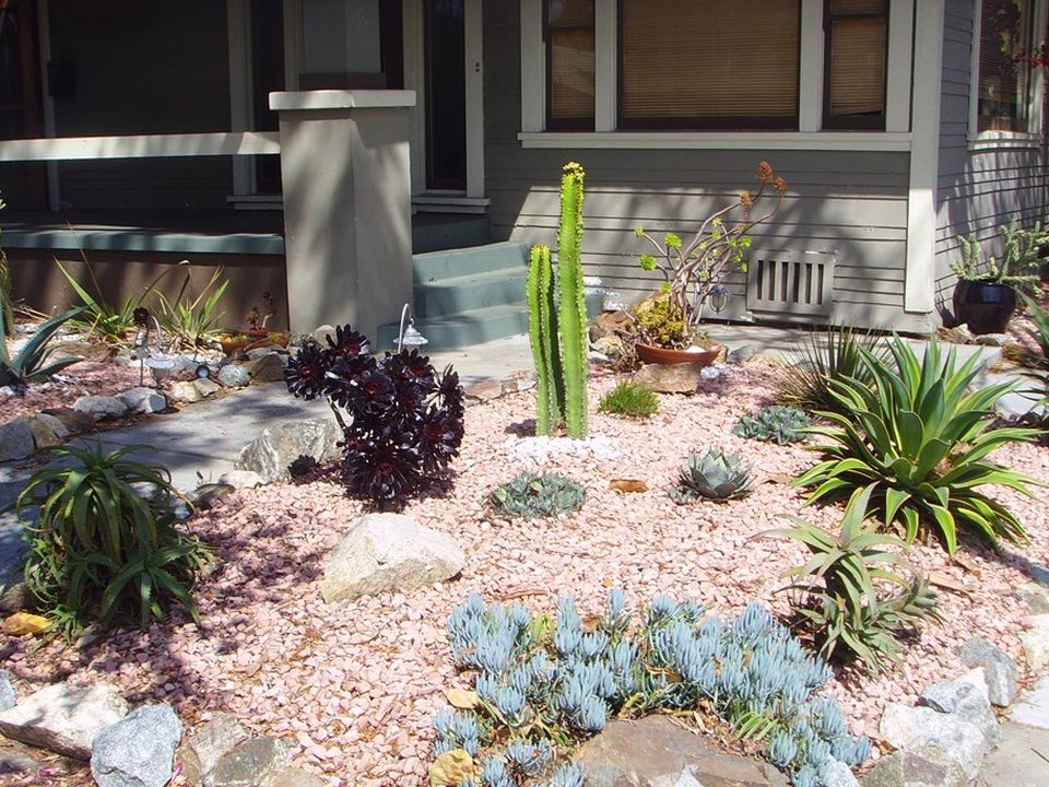 Water-wise front yard with succulents and rock
